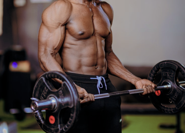 kip fit intermediate barbell curl